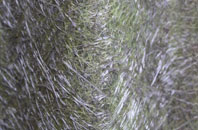 Goatacre fibreglass roof work